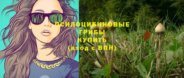 ALPHA PVP Вяземский