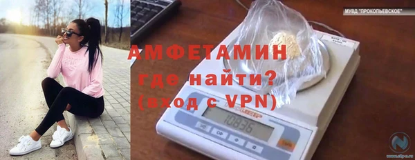 твердый Вязьма