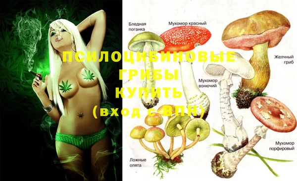 Альфа ПВП Вязники