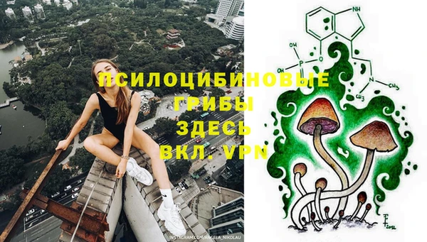 Альфа ПВП Вязники
