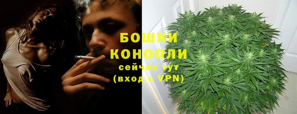 твердый Вязьма