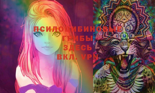 Альфа ПВП Вязники