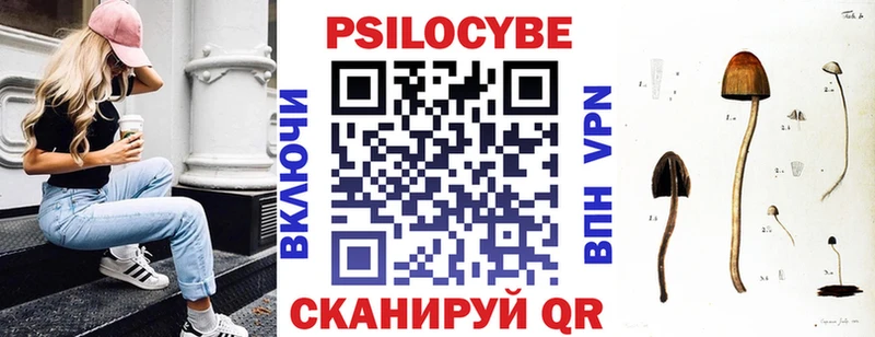 Галлюциногенные грибы прущие грибы Жиздра