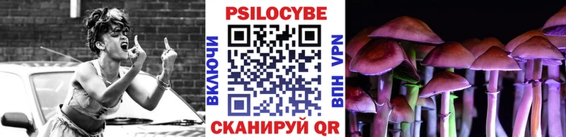 Псилоцибиновые грибы GOLDEN TEACHER  Жиздра 